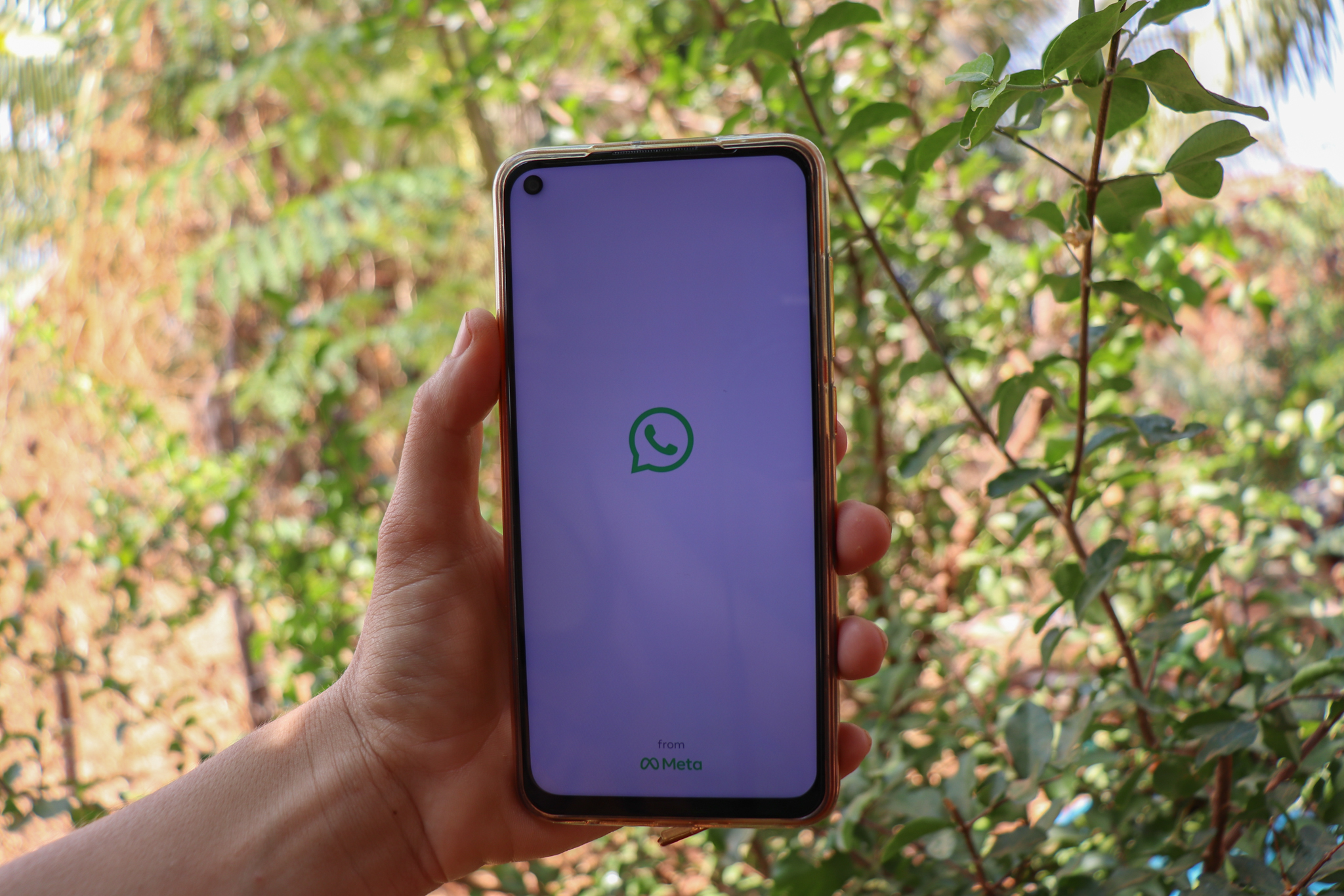 Desfocar imagem? Veja o lançamento que está previsto para o WhatsApp