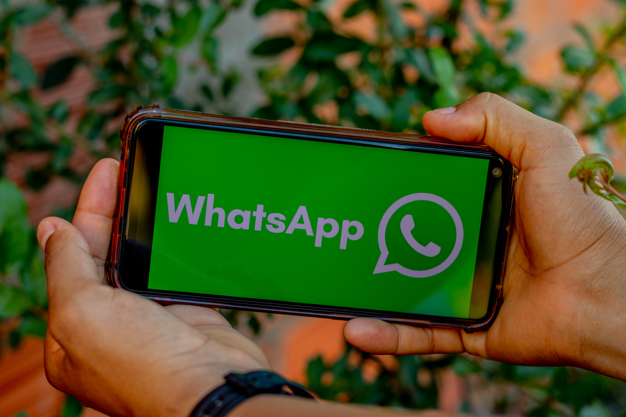 Dá para consultar CPF e CNPJ pelo WhatsApp; veja como