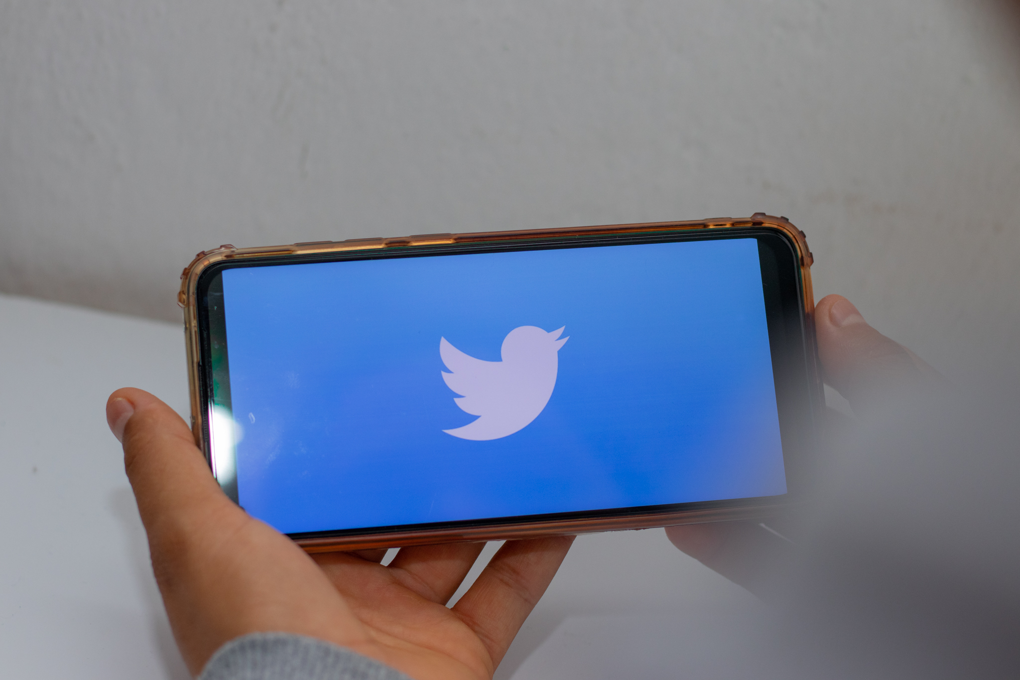 Descubra quem viu SEU PERFIL no Twitter