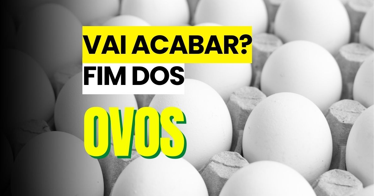 Os ovos do mundo vão acabar? Entenda a polêmica.