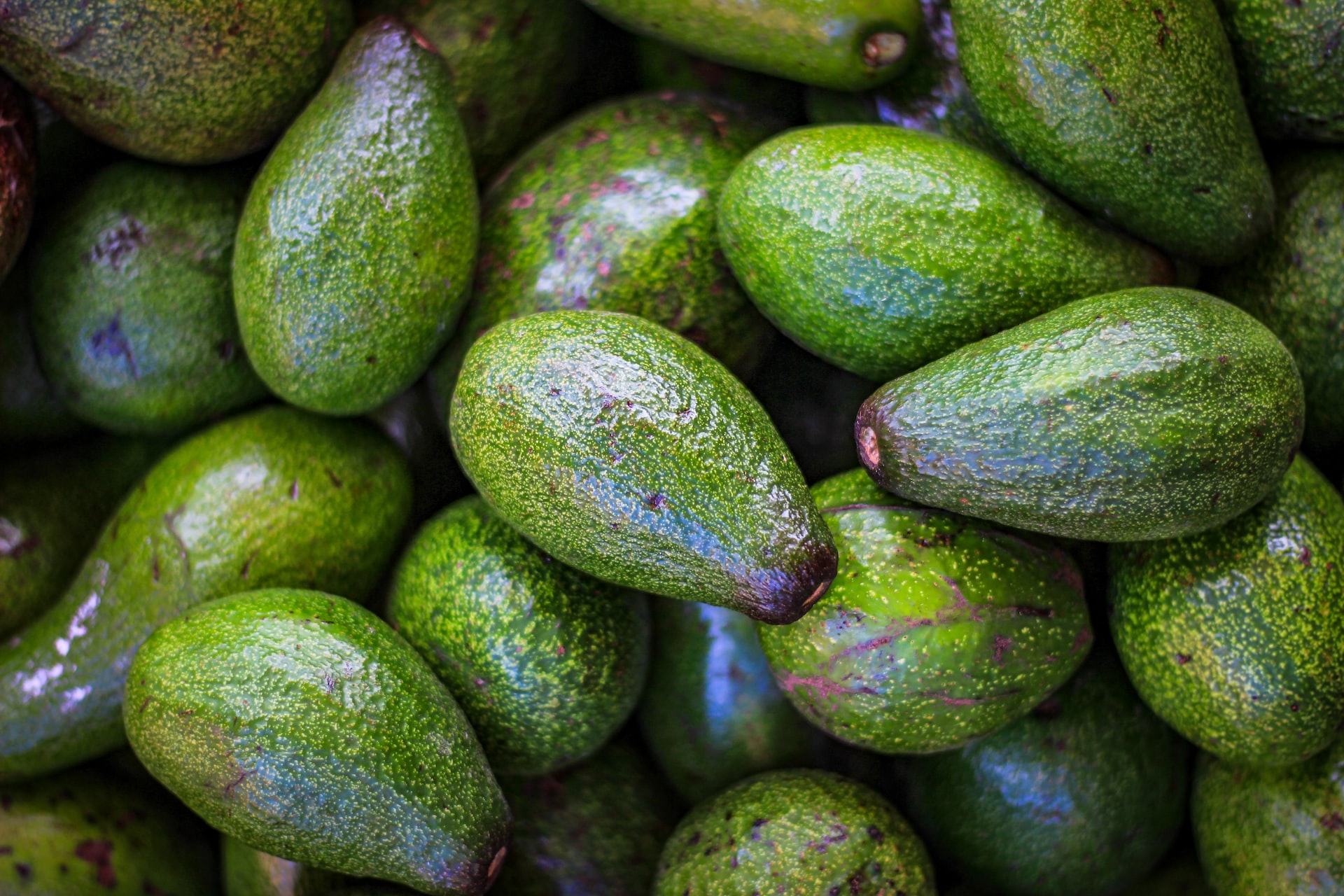Por que você DEVERIA comer abacate antes de dormir