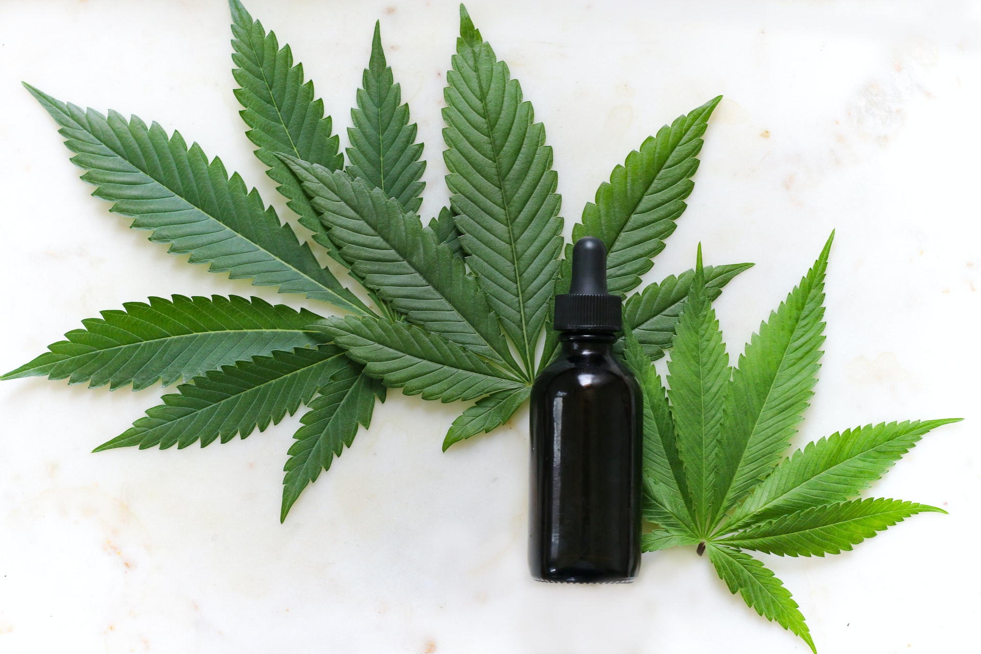 SUS: medicamento à base de maconha será liberado em São Paulo