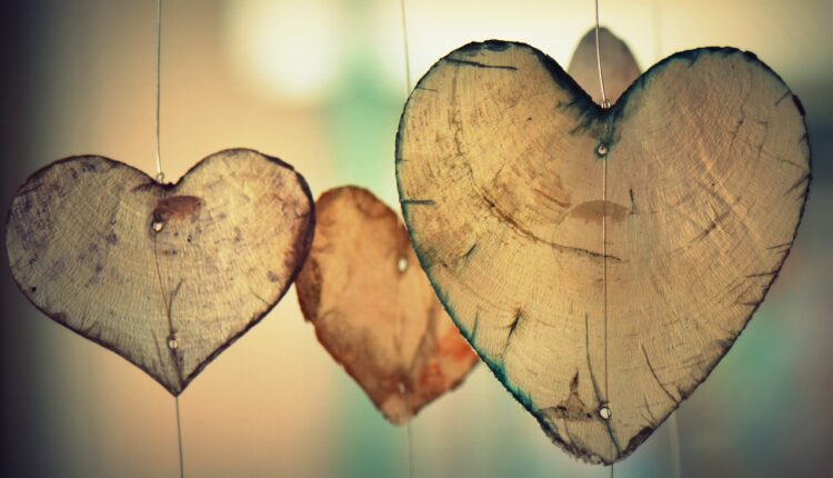 Amor