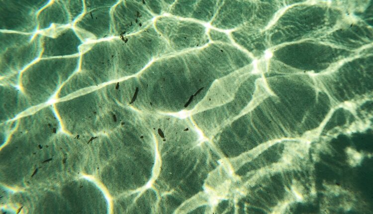 Cientistas encontram a VERDADEIRA piscina da morte no fundo do mar