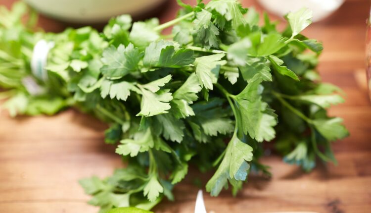 Comecei a usar a SALSA assim e olha só o que aconteceu