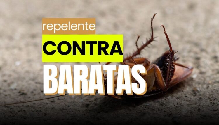 repelente com apenas 2 ingredientes - edição/ noticiadamanha.com.br.