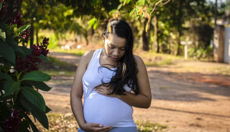 Senado aprova ultrassom para gestantes no SUS; exame fetal também