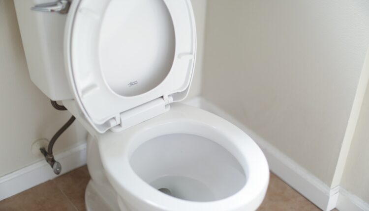 Sua privada é mais limpa que este objeto usado TODOS OS DIAS
