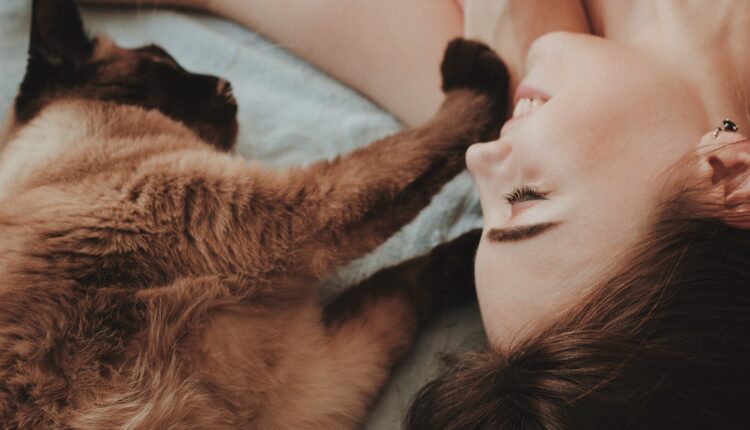 Cientistas afirmam que é possível conversar com seu gato