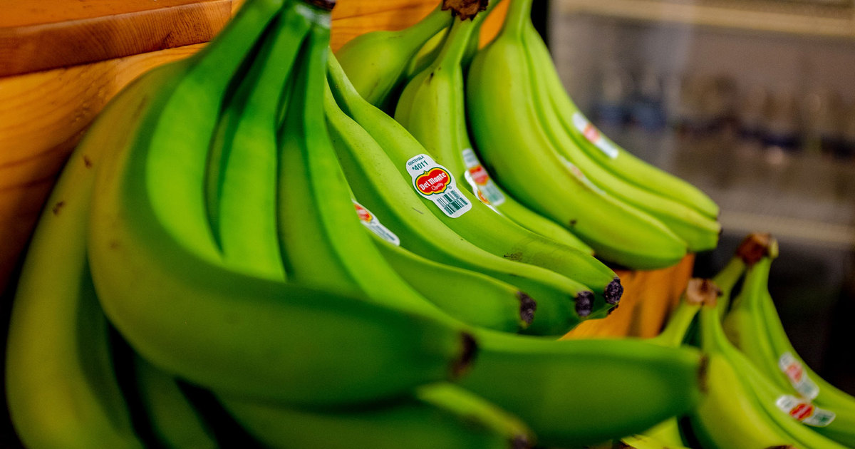 Banana verde CONTRA o câncer! Estudo evidencia o poder da fruta