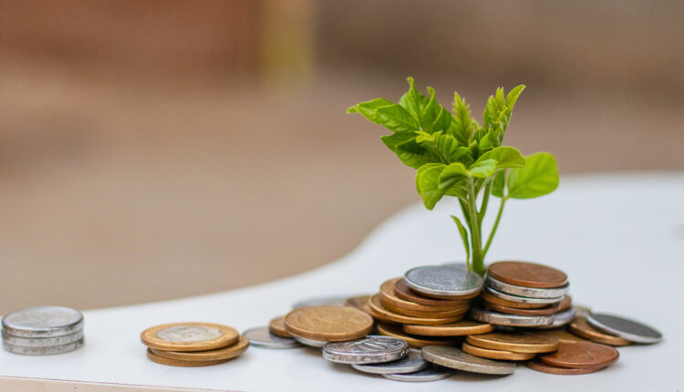 Seu futuro EMPREENDEDOR começa agora! Microfranquias que rendem R$ 20 mil