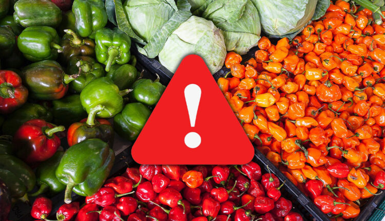 Risco invisível: seus alimentos estão contaminados por produtos QUÍMICOS; entenda