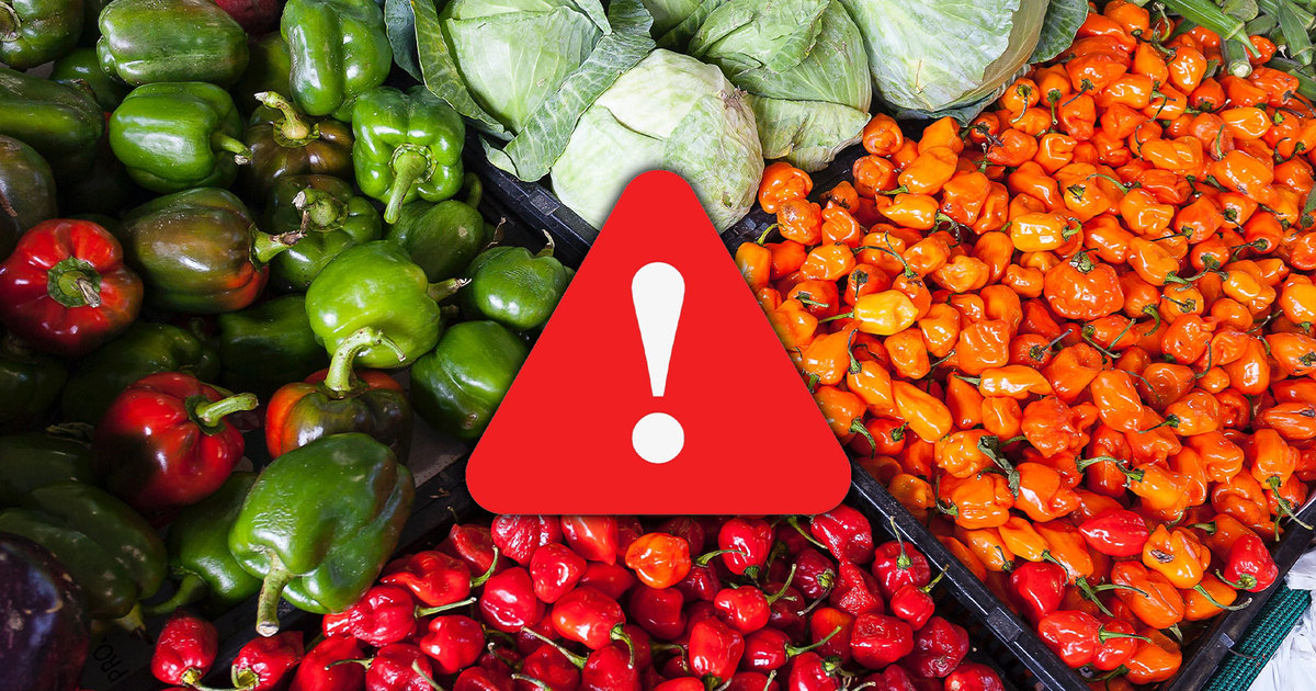 Risco invisível: seus alimentos estão contaminados por produtos QUÍMICOS; entenda