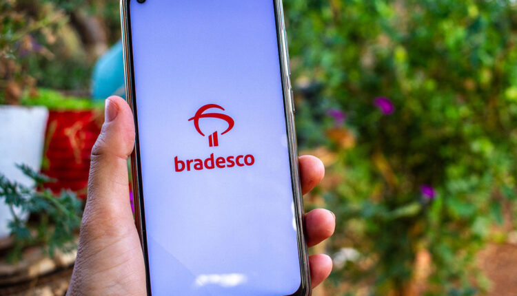 Bradesco revela oportunidade para pequenos empreendedores do Brasil