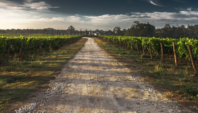 Fazenda