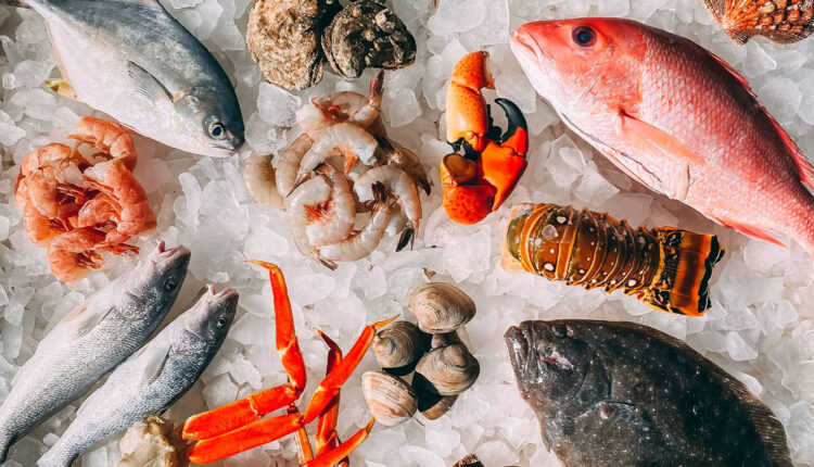 Ciência revela quais são os peixes mais saudáveis para sua alimentação