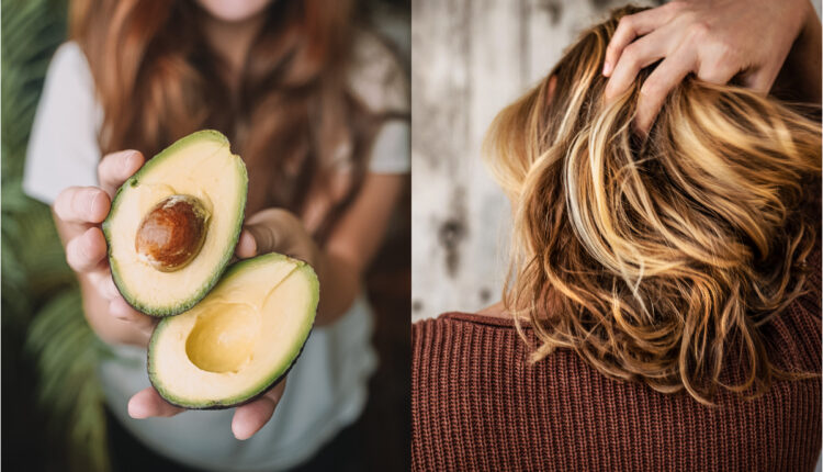 O abacate é uma fruta deliciosa que traz inúmeros benefícios a saúde, mas o que poucos sabem é que os benefícios também podem ser incluídos na área de cosméticos. A fruta tem em seu óleo, um poder transformador quando se trata de cuidados com os cabelos. Continue lendo para saber os principais benefícios do óleo de abacate para os seus fios, bem como as melhores formas de aplicações.