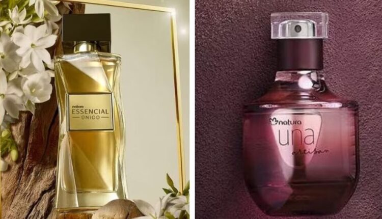 Com uma seleção diversificada de perfumes e preços acessíveis, a Natura se destaca como uma opção adorada pelos brasileiros e, principalmente pelo público feminino. A marca permite ao consumidor descobrir perfumes que unem qualidade e preço numa combinação perfeita. E é justamente pensando nisso que trazemos, logo abaixo, cinco opções de fragrâncias que vão conquistar as mulheres.