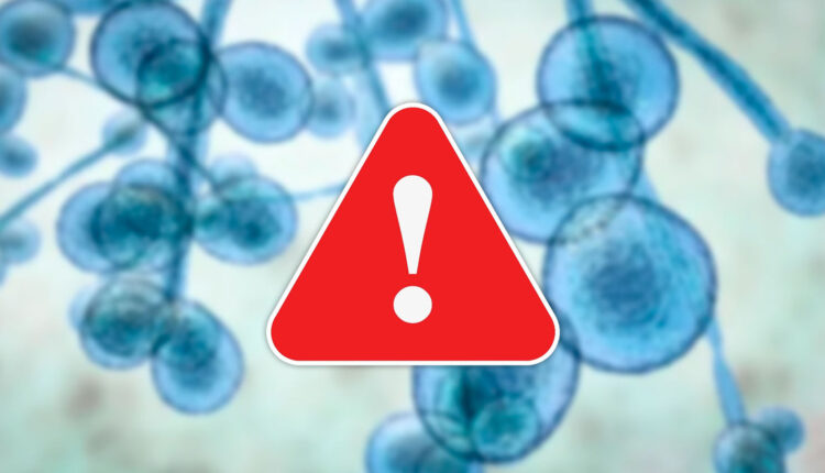 Anvisa alerta para surto de superfungo