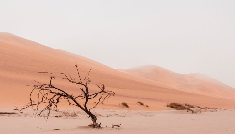 Deserto