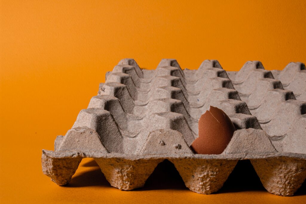 Caixas de ovos têm grande utilidade descubra por que tanta gente está guardando esse item