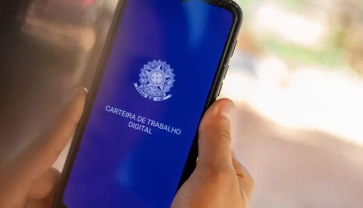 Carteira de Trabalho Digital: como consultar com o CPF