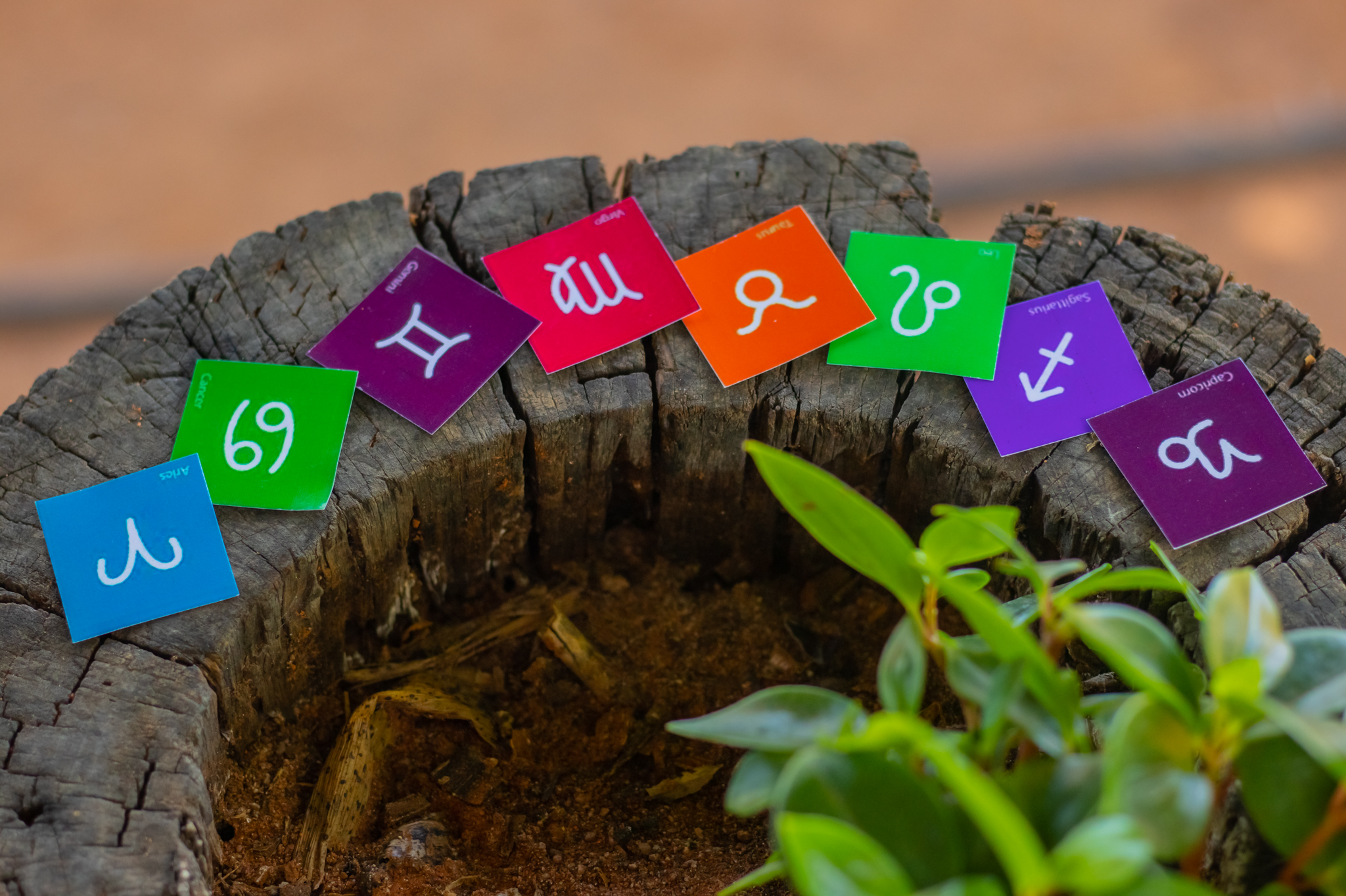 Na próxima semana, 2 signos poderão GANHAR MUITO dinheiro