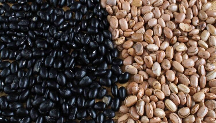 Quem aprecia se aventurar na cozinha, seja para preparar um belo almoço ou uma sobremesa para uma ocasião especial, costuma se atentar com dedicação aos ingredientes e ao modo de preparado de cada prato. No entanto, na hora de se preparar o feijão, por exemplo, existe um erro que muitos cometem sem nunca terem tomado conhecimento disso, reduzindo o sabor e até mesmo o valor nutricional desse alimento rico em fibras. Descubra, logo abaixo, como deixar de repetir esta mancada na frente do fogão.
