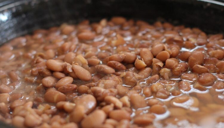 Usando como fonte o feijão carioca, uma pesquisa 100% brasileira possibilitou o desenvolvimento de um suplemento proteico, que seria similar ao famoso Whey Protein, usado em academias, como possivelmente o futuro substituto de proteínas de origem animal, tanto para o consumo do dia à dia, como para fins de desempenho esportivos. Continue a leitura, logo abaixo, e saiba detalhes sobre o estudo.