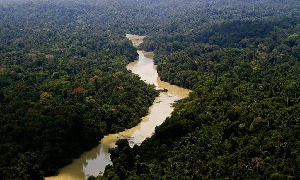 Além de extrair recursos naturais, muitas atividades exercidas pelo homem também liberam gases de efeito estufa na atmosfera, contribuindo para o aquecimento global e eventos climáticos extremos. Para lidar com o problema das emissões de gases de efeito estufa, surgiu o crédito de carbono como uma forma de compensação. Continue a leitura e entenda como funciona, logo abaixo.