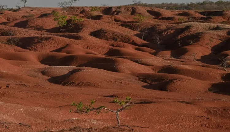 Fotos revelam desertificação em Gilbués, no Piauí, com semelhanças ao planeta Marte. A cidade sul-piauiense é conhecida como o 'Deserto de Gilbués' e apresenta paisagens áridas e crateras vermelhas, características da maior região desertificada do Brasil.