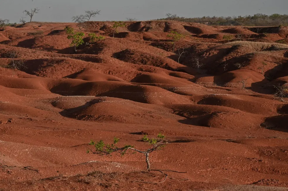 Fotos revelam desertificação em Gilbués, no Piauí, com semelhanças ao planeta Marte. A cidade sul-piauiense é conhecida como o 'Deserto de Gilbués' e apresenta paisagens áridas e crateras vermelhas, características da maior região desertificada do Brasil.