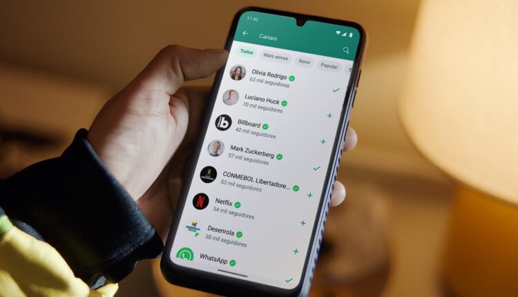 Comunicado: WhatsApp tem aviso para quem usa app todos os dias