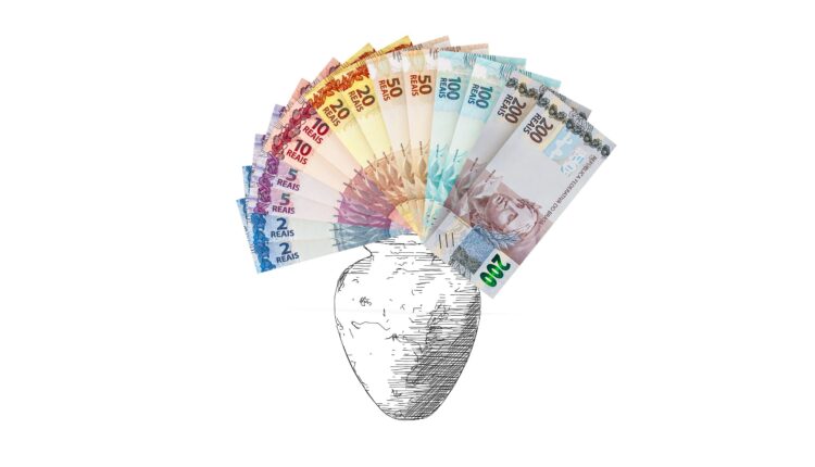 Segundo as tradições milenares, como o feng shui, existem algumas plantas que podem ajudar a atrair mais dinheiro para a sua vida. Veja quais são 7 boas opções neste sentido.