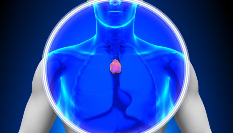 Órgão linfático timo produz células T que ajudam a reconhecer e atacar células cancerosas. É uma nova luz no combate ao câncer.