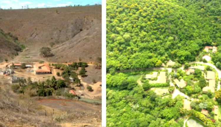 Casal brasileiro refloresta região inteira no Vale do Rio Doce e vira exemplo de sustentabilidade para o mundo. Conheça a história de Sebastião e Lélia.