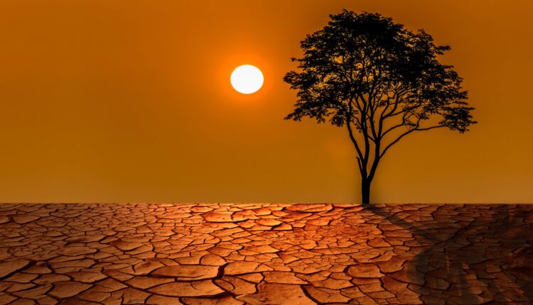 A onda de calor que atinge o Brasil é a quinta consecutiva e pode chegar a 40°C em boa parte do país. Confira todos os detalhes do assunto.