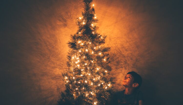 Não comprou a árvore de Natal? Veja os melhores modelos