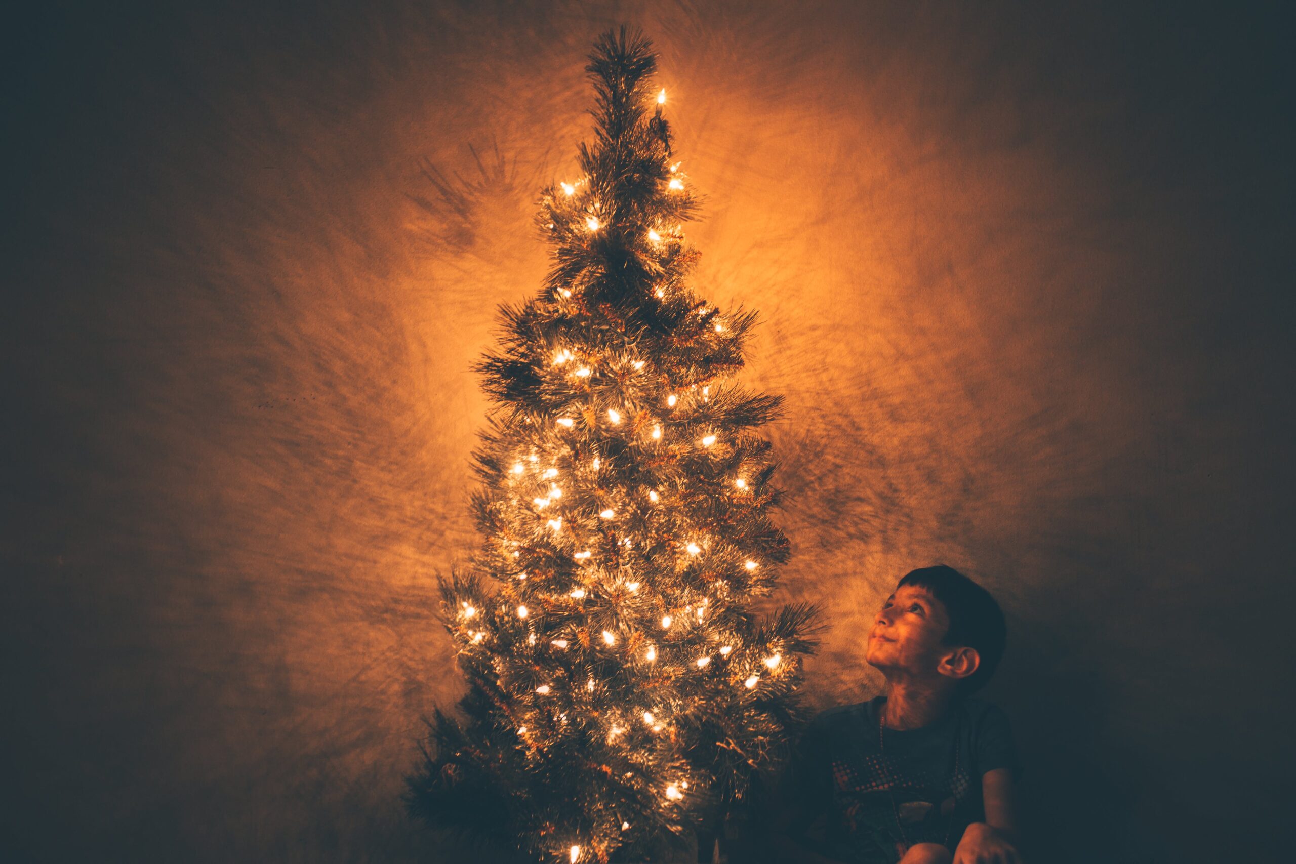 Não comprou a árvore de Natal? Veja os melhores modelos