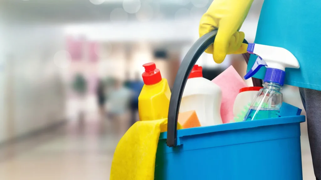 No mundo da limpeza doméstica, é comum recorrermos a uma variedade de produtos para manter nossas casas limpas e higienizadas. (Foto divulgação)