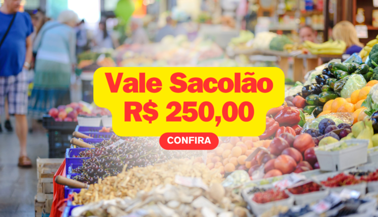 Qual será a situação do vale para comprar alimentos que tem valor de R4 250? Entenda como funciona e o que esperar do benefício.