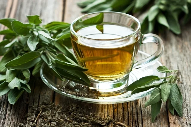O chá verde é mais do que uma bebida; é uma fonte rica de saúde e bem-estar. (Foto divulgação)