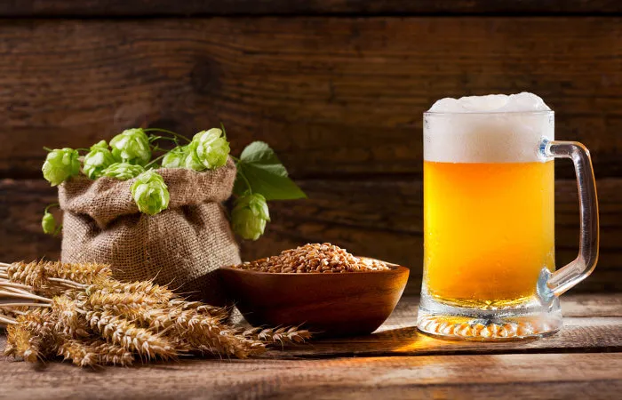 O lúpulo, um ingrediente-chave na fabricação da cerveja, pode ter propriedades benéficas no combate ao Alzheimer. (Foto divulgação)