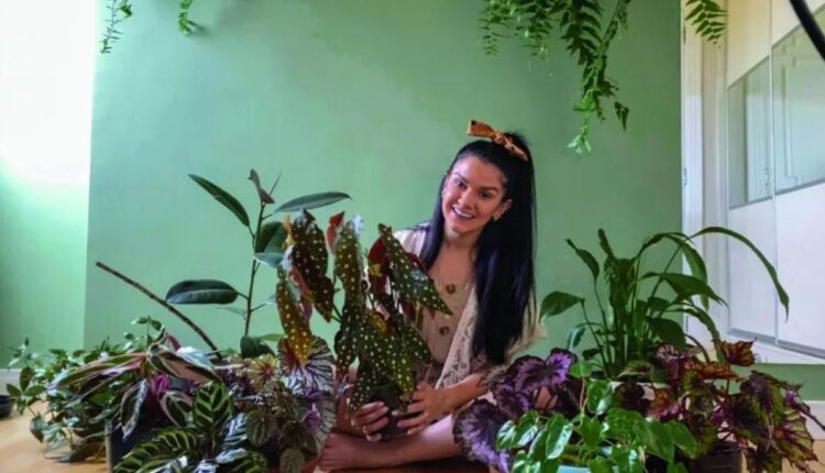 Transforme seu lar com cinco plantas místicas para prosperidade e equilíbrio. Descubra os segredos de cuidado e integração para um ambiente vibrante e acolhedor.