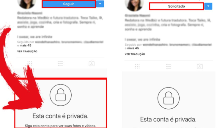 Curioso sobre um perfil privado no Instagram? Entenda os riscos e a única maneira segura de acessar conteúdos privados. (Foto divulgação)
