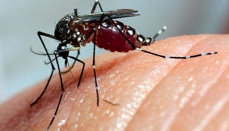 Saiba quantos dias de repouso são indicados para recuperação da dengue e como obter o atestado médico. Dicas essenciais para uma recuperação eficaz.