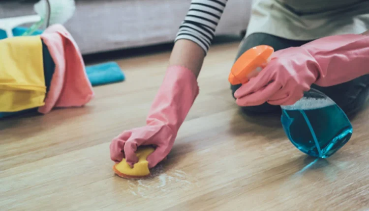 Revele o segredo da canela: um ingrediente poderoso que limpa, aromatiza e renova as energias da sua casa. Saiba como fazer sua casa brilhar e vibrar positivamente. (Foto divulgação)