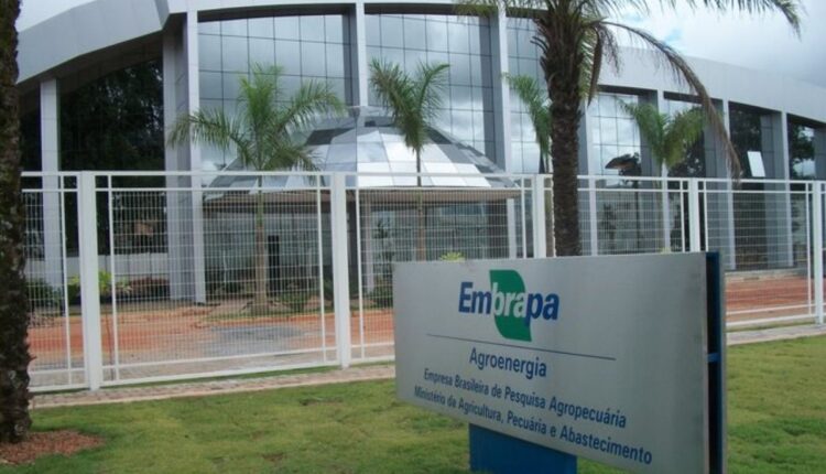 Concurso Embrapa 2024.