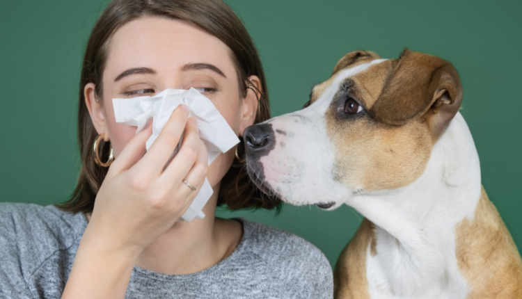 Mulher com crise alérgica com cão ao lado.