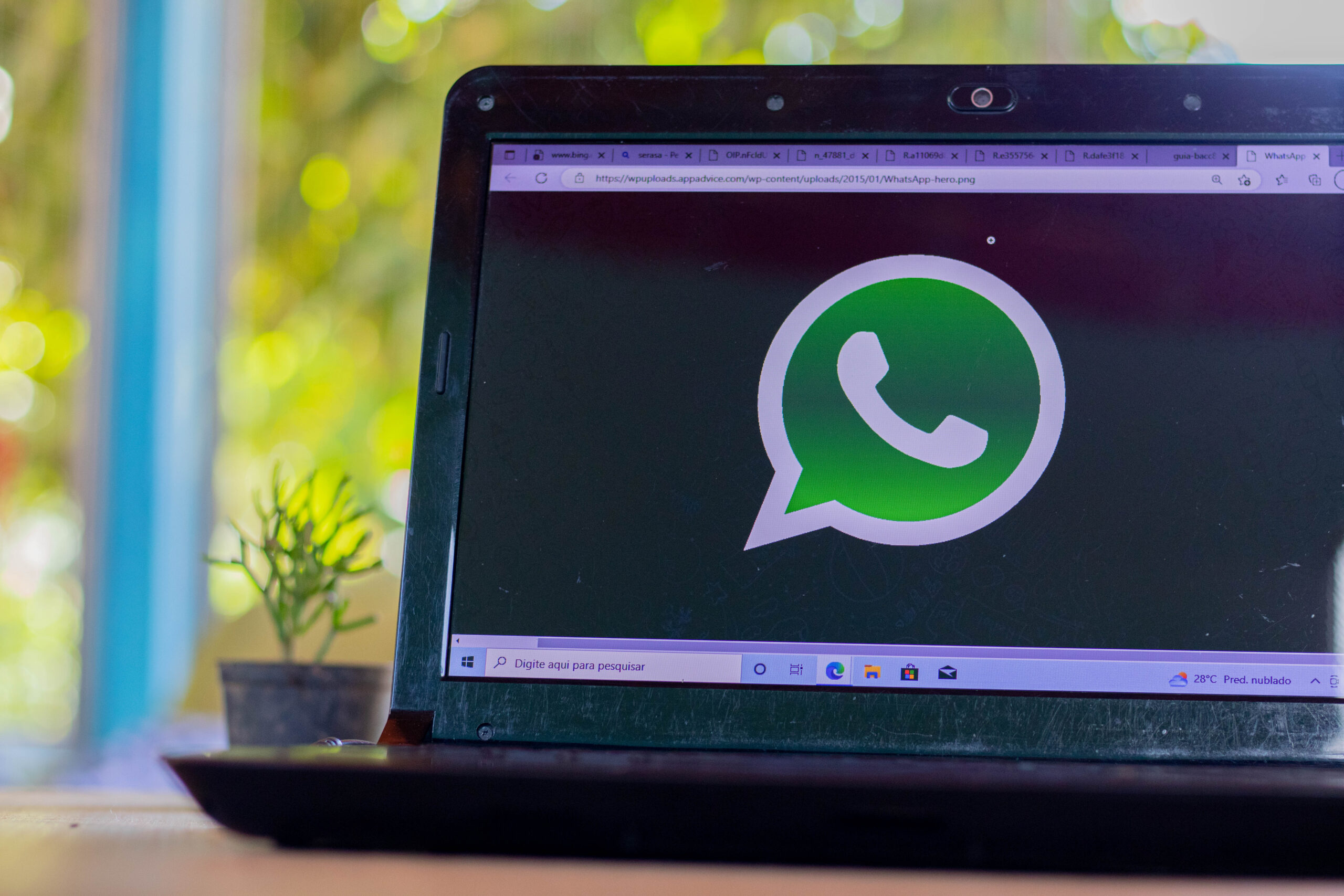 Discord WhatsApp.